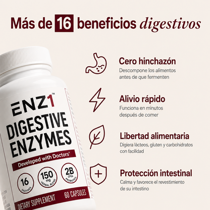 enzimas digestivas